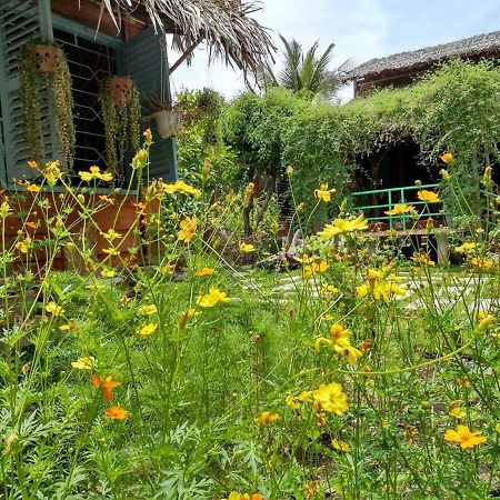 Bach Cuc Homestay Long Hai Exterior foto